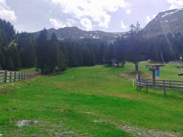 pipay-piste