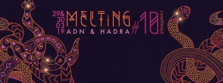 Melting #10 - ADN vs HADRA - Double Nuit Psychédélique